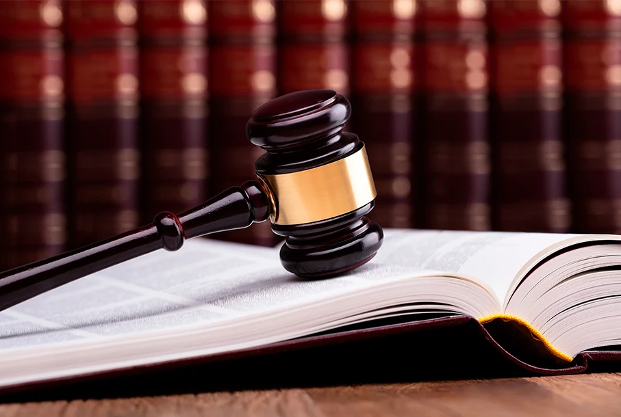 Maestría en Derecho Constitucional